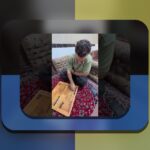 حکم بازی تخته نرد رهبری: راهنمای جامع برای فهم بهتر قوانین و کاربردهای آن در سایت شرط بندی